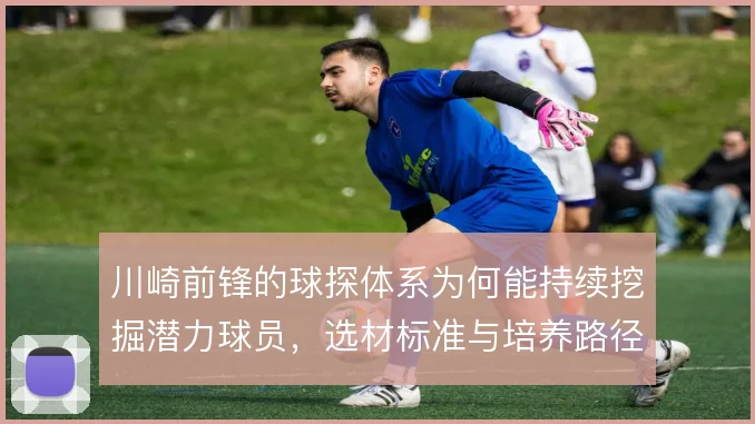 川崎前锋的球探体系为何能持续挖掘潜力球员，选材标准与培养路径的衔接